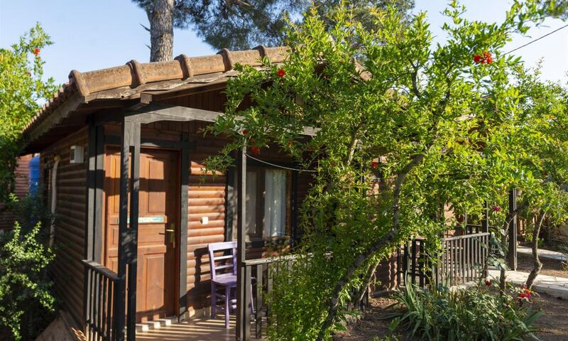 Koala Bungalow